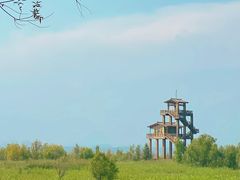 -野鸭湖国家湿地公园