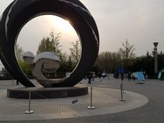 -大兴滨河森林公园