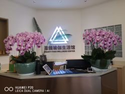 点击看大图 -圣提生活馆