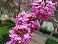 -山东师范大学(千佛山校区)
