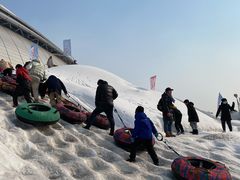 -沈阳奥体冰雪嘉年华