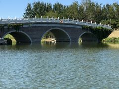 -大兴滨河森林公园