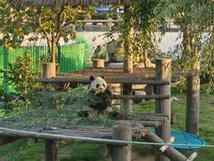 -西霞口神雕山野生动物世界