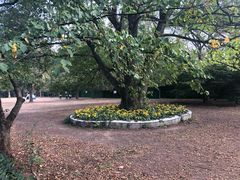 -紫霞湖公园