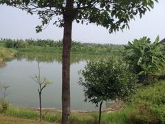 iphone_upload_pic-海鸥岛