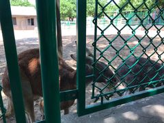 -西安秦岭野生动物园