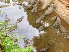 -海南热带野生动植物园