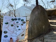 -沂蒙山旅游区云蒙景区(蒙山国家森林公园)