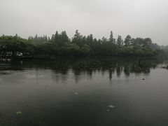 -百美汇影城(LUXE嘉里中心店)