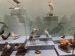 -陕西自然博物馆