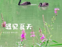 -天目湖涵田半山温泉