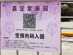 -嘉定紫藤园