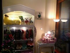-Oh My Dog宠物沙龙(伊珊娜皮毛护理店)