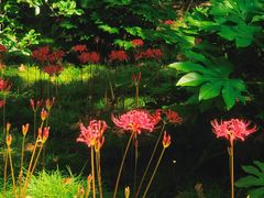 -共青国家森林公园-售票处