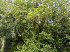 -福建师范大学(仓山校区)