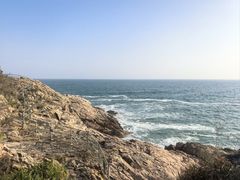 -广东惠东海龟国家级自然保护区