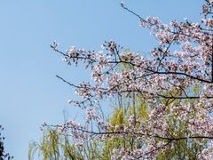 -上海第二工业大学(金海路校区)