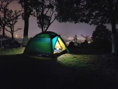 -铁山坪森林公园