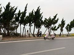 -养马岛旅游度假区