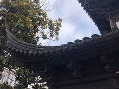 -三林塘老街