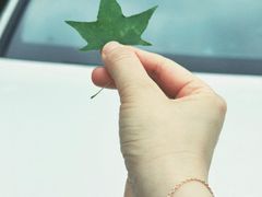 -大蜀山国家森林公园