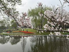 -玄武湖景区-情侣园游乐场