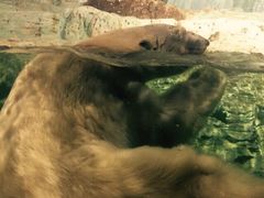 中影国际影城九江市八里湖新区九方店-中影国际影城(九江花园城CINITY LED店)