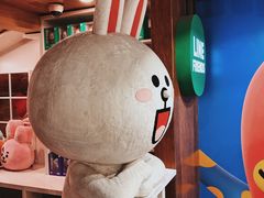 -line friends(明洞旗舰店)