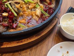 -老板恋上鱼(恒隆广场店)