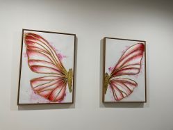 -丰联丽格医疗美容·联合丽格眼整形中心