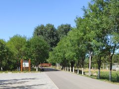 -东郊湿地公园