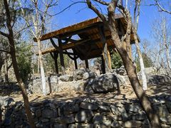 -阳台山自然风景区