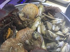 -船梆煮•蒸汽海鲜·炉火烤肉(五四广场店)