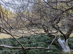 -杭州植物园