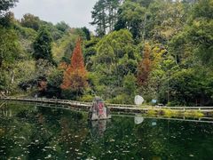 -南岳衡山风景名胜区