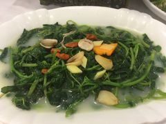 -新兴家喻酒家·羊城名宴(昌岗店)