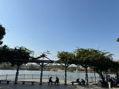 -黄兴公园