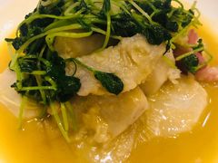鸡汁豆苗芋艿-锦堂中餐厅