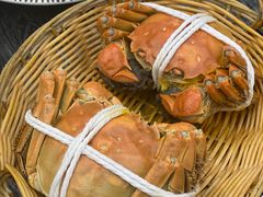 -蟹天蟹地农家菜·阳澄湖大闸蟹(浅水湾店)