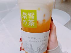 -奈雪的茶(新天地广场PRO店)