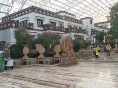 -拉萨圣地天堂洲际大饭店-自助餐厅