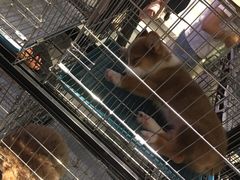 -远洋未来广场(育慧北路店)