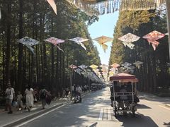 -日照海滨国家森林公园