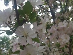 -元大都城垣遗址公园