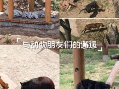 -石家庄市动物园