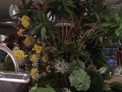 -东莞塘厦三正半山温泉酒店·沙利文西餐厅