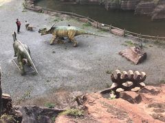 -黎坪国家森林公园