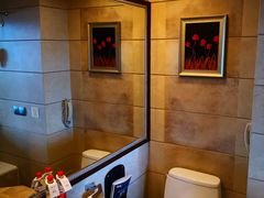 -长沙小天鹅戴斯酒店