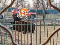 -秦皇岛野生动物园