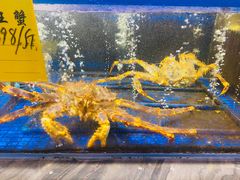 -十二海鲜(南湖店)